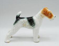 wire fox terrier puppies for sale wire fox terrier puppies for sale Pittsburgh