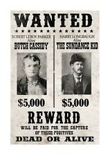 Butch cassidy sundance for sale  PONTEFRACT