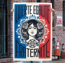 Shepard fairey liberté d'occasion  Paris I