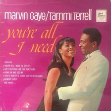 Marvin gaye tammi for sale  COVENTRY