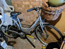 Giant expression dutch for sale  RUGELEY