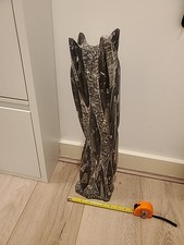 Orthoceras for sale Orthoceras for sale  HOUNSLOW