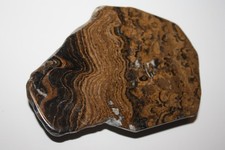Stromatolith bolivien gebraucht kaufen  Helsa