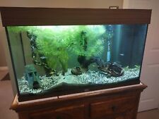 Juwel rio aquarium for sale  LEEDS