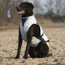 Suitical dry cooling gebraucht kaufen  Roth