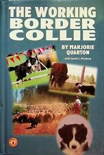 Working border collie for sale  Elgin