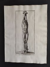 Marsia scorticato da Apollo, Raccolta di statue, Randon, Stampa 1742 comprar usado  Enviando para Brazil