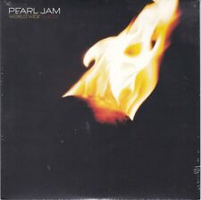 Pearl jam world usato  Torino
