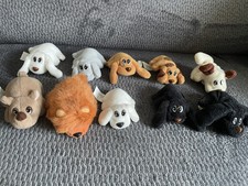 Pound puppies pet for sale  WOODBRIDGE