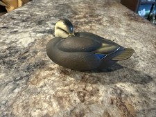 Jett brunet ducks for sale  Trumann