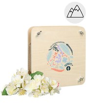 Weltbild blütenpresse flora gebraucht kaufen  Oyten