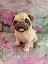 Living stone pug for sale  San Diego