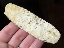 Exceptional paleo square for sale  Quincy