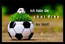 Fußmatte schmutzfangmatte fu� gebraucht kaufen  Limbach-Oberfrohna