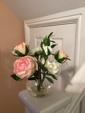 Bloom pink rose for sale  KIDDERMINSTER