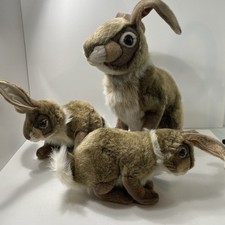 Thomas boland bunny for sale  Newberry