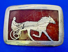 Harness racing standardbred for sale  Melbourne