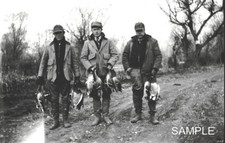 1930 goose hunters for sale  Upton