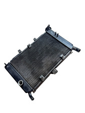 Yamaha XJ6N XJ6 N 2009 - 2015 Refroidissement Moteur Radiateur 20S-12461-01-00 comprar usado  Enviando para Brazil