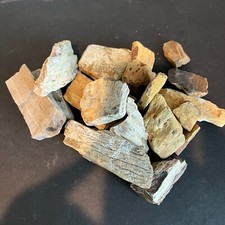 Central texas petrified for sale  Smithville