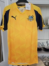 Yorkshire 2020 t20 for sale  MELKSHAM
