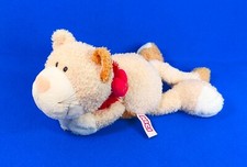 Nici katze kater gebraucht kaufen  Deutschland