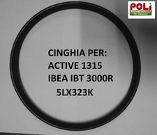 P3010031 cinghia motore usato  Massa