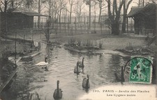 Paris garden plants d'occasion  Expédié en Belgium