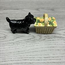Vintage wizard toto for sale  Rochester