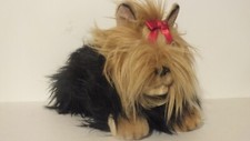 Miyoni yorkie dog for sale  Colville