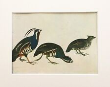 Bobwhite quail audubon for sale  NORWICH