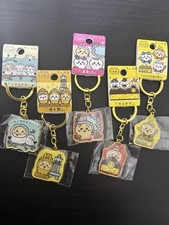 Chiwawa set portachiavi usato  Spedire a Italy