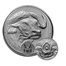 Moneda de plata Sudáfrica Big Five Buffalo 2023 1 oz (BU) segunda mano  Embacar hacia Mexico