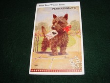 terrier for sale  LIFTON