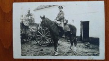 Riginal foto braunschweiger gebraucht kaufen  Bad Dürrenberg
