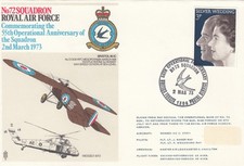 Squadron raf flown for sale  SOUTHALL