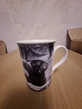 Black labradors john for sale  CREWE
