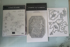 Stampin citrus blooms for sale  BRACKNELL