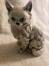 Elpa alcobaca cat for sale  Bokeelia