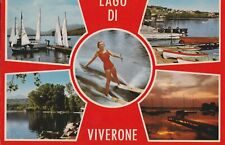 Torino lago viverone usato  Poirino