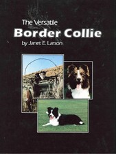 Versatile border collie for sale  North Smithfield