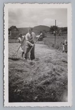 Liesen hallenberg 1939 gebraucht kaufen  Deutschland