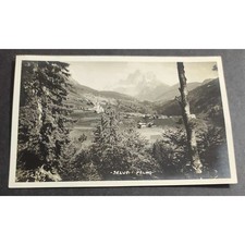 Cartolina selva pelmo usato  Alessandria
