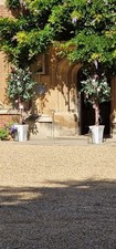 Wedding light tree for sale  CAMBRIDGE