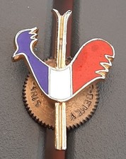 Ski nightingale badge d'occasion  Expédié en Belgium