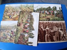 Hop picking pickers for sale  HUNTINGDON