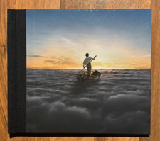 The endless river gebraucht kaufen  Oer-Erkenschwick