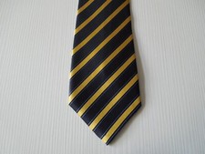 Trussardi action silk usato  Somma Vesuviana