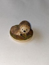 Colourbox cats bear for sale  BEVERLEY