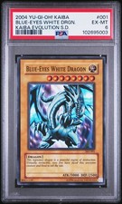 2004 kaiba evolution for sale  New Castle